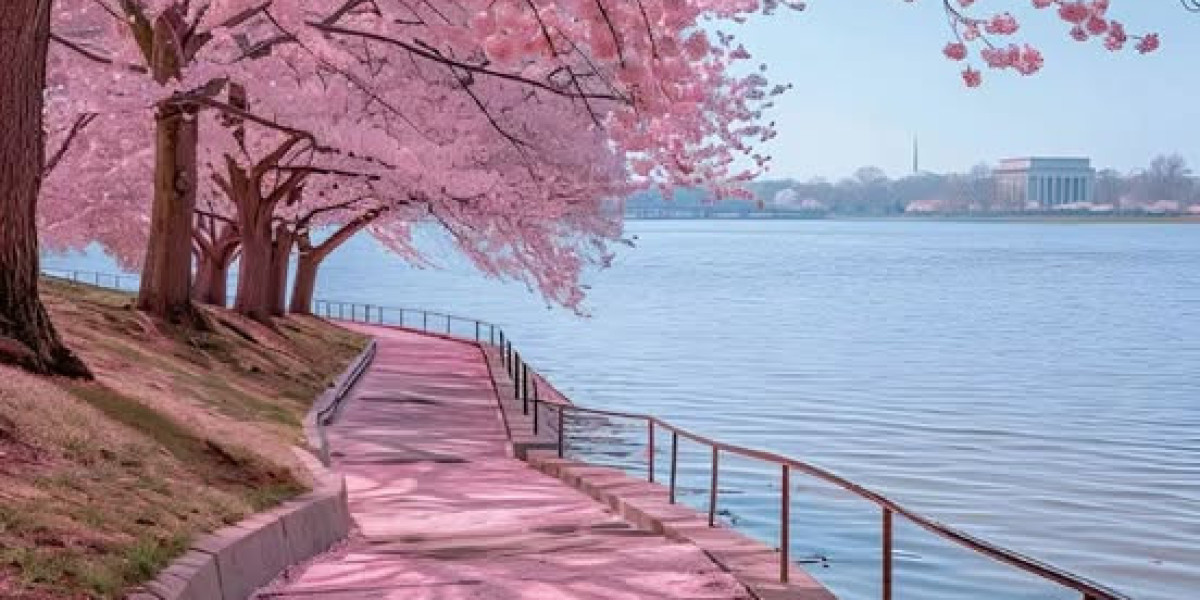 Sparks get rid of in the direction of rival Lynx 80-64