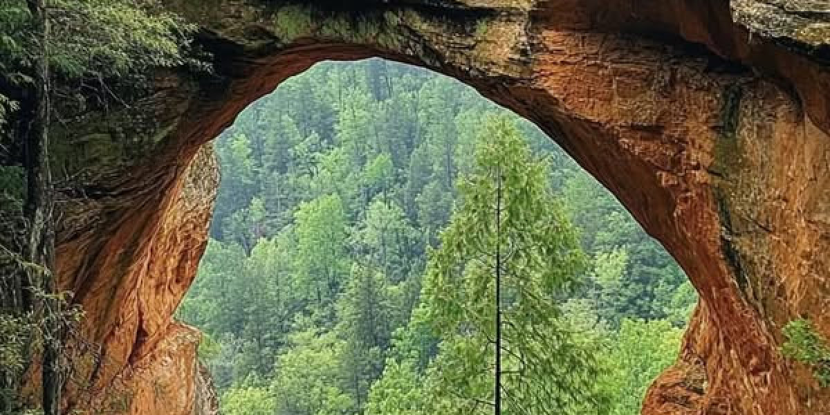 Washington Nationals Reacts Study: Beloved Stephen Strasburg memory?