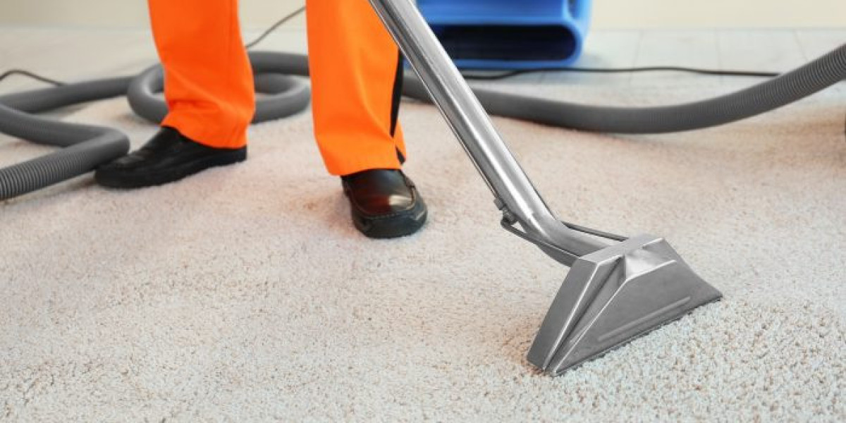 ﻿The Hidden Dangers of Skipping Carpet Cleaning Services